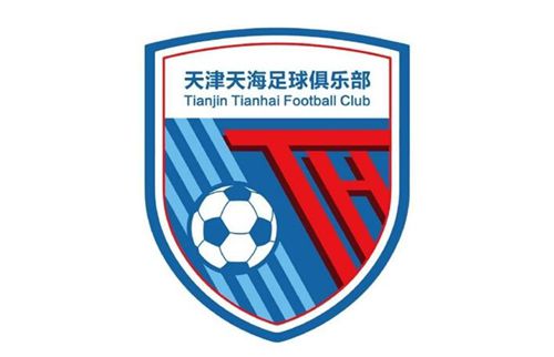 寻情记全集完整版
